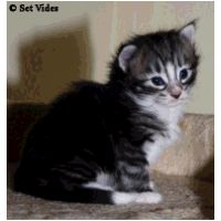 balam3weeks2.jpg