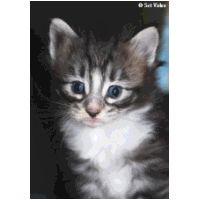balam4weeks.jpg