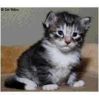 kara3weeks1.jpg