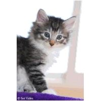 kara6weeks.jpg